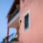 Casa Barbara Апартаменты *